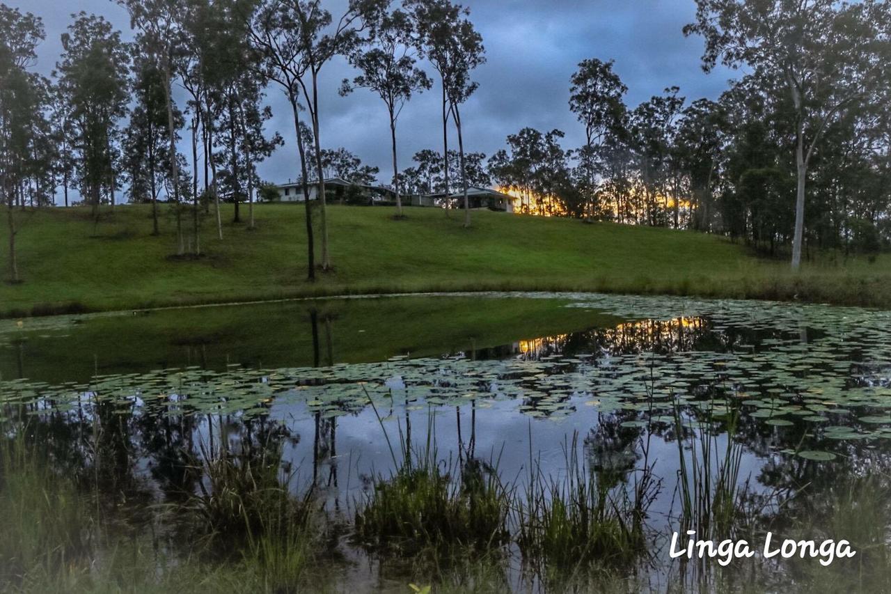 Linga Longa Spiritual Retreat Apartment Curra Exterior foto
